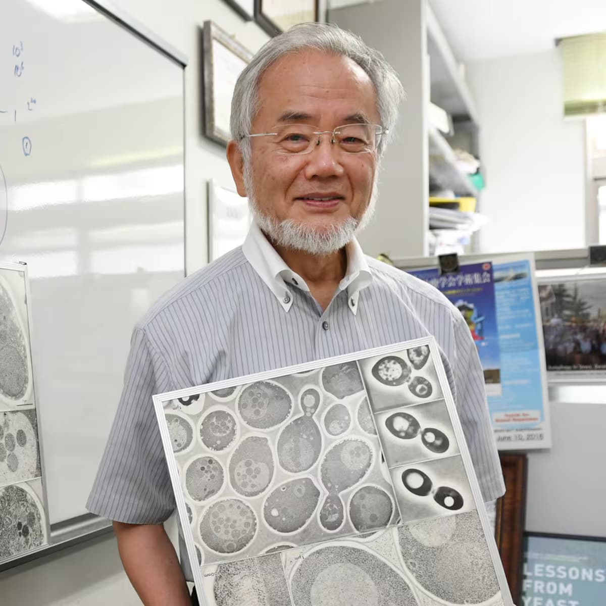 Yoshinori Ohsumi, Premiul Nobel 2016